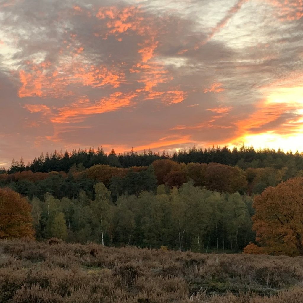 Zenz coaching, herfst