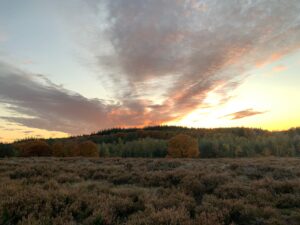 Zenz coaching, herfst